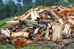 firewood pile for winter P97FU56